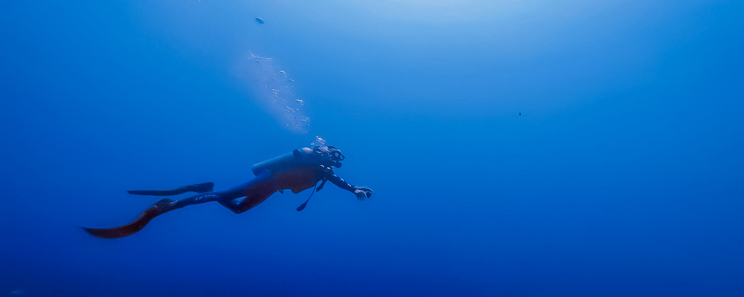 beaux spots de plongee calvi balagne