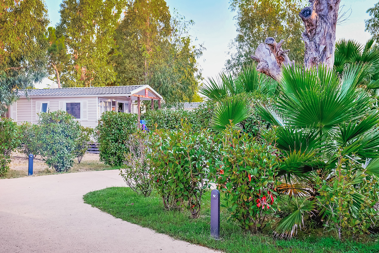 bienvenue dans un camping du groupe sejoya a calvi