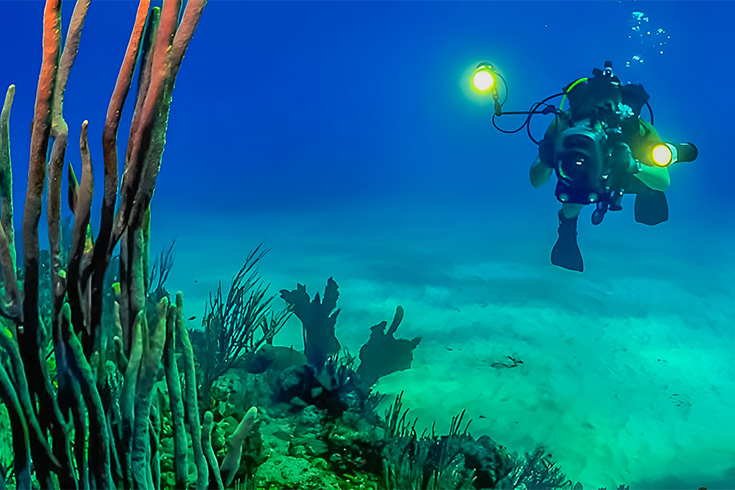 bonnes adresses calvi