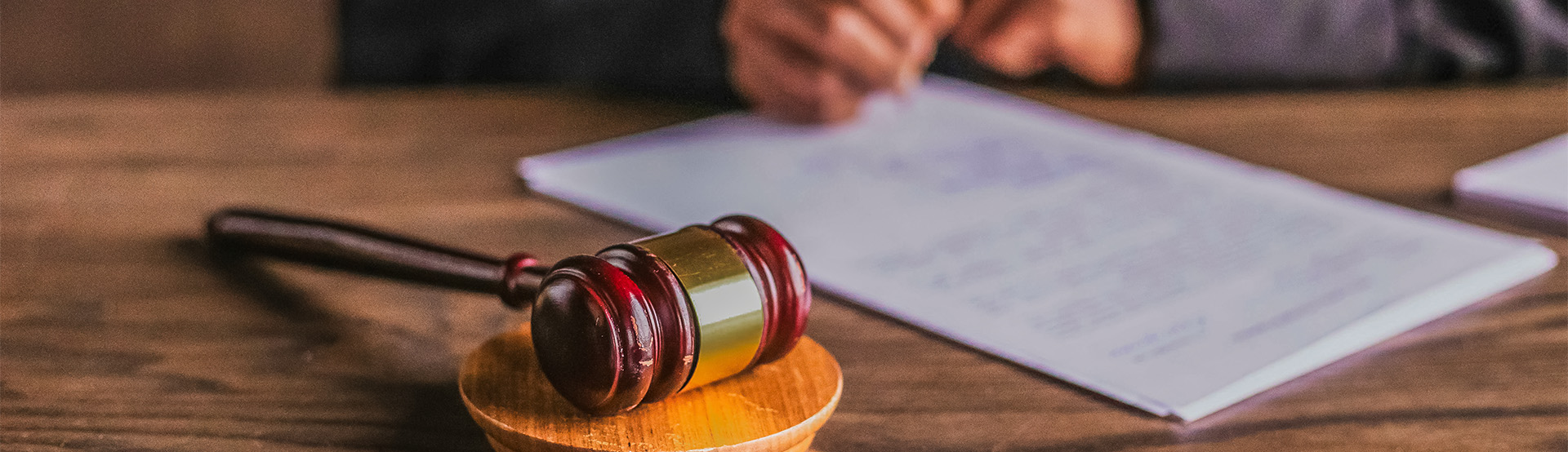 camping international calvi corse mentions legales