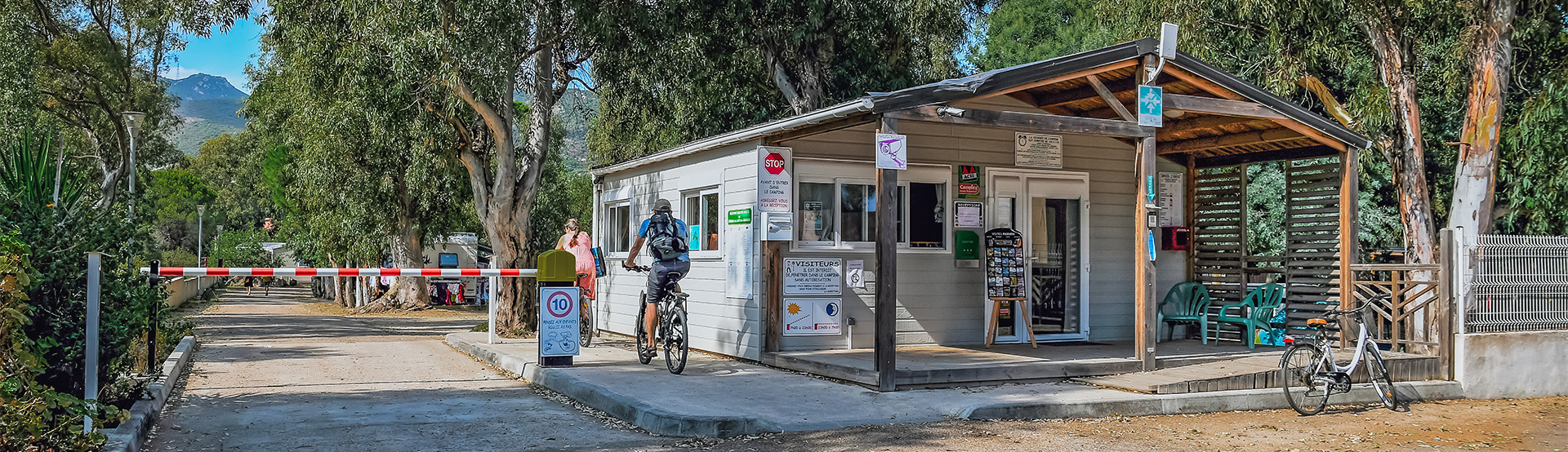 camping international contact acces calvi