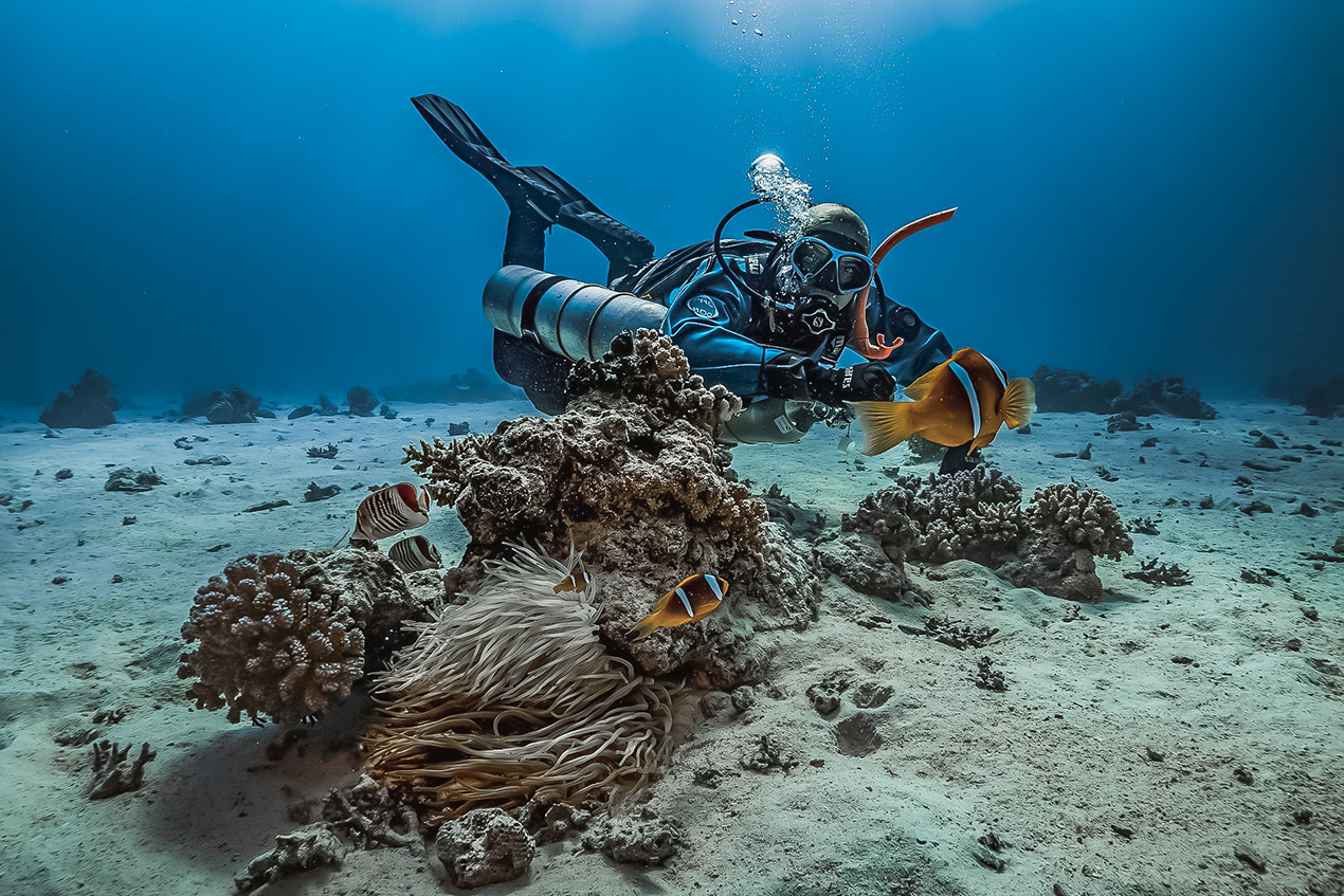 diverses activites nautiques