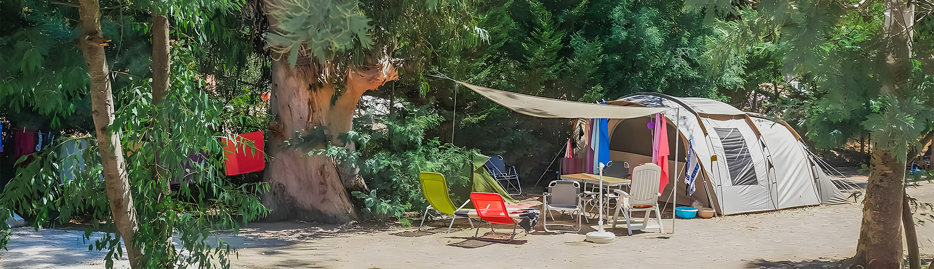 location emplacement calvi