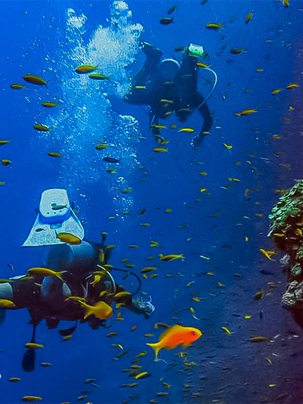 plongee sous marine calvi